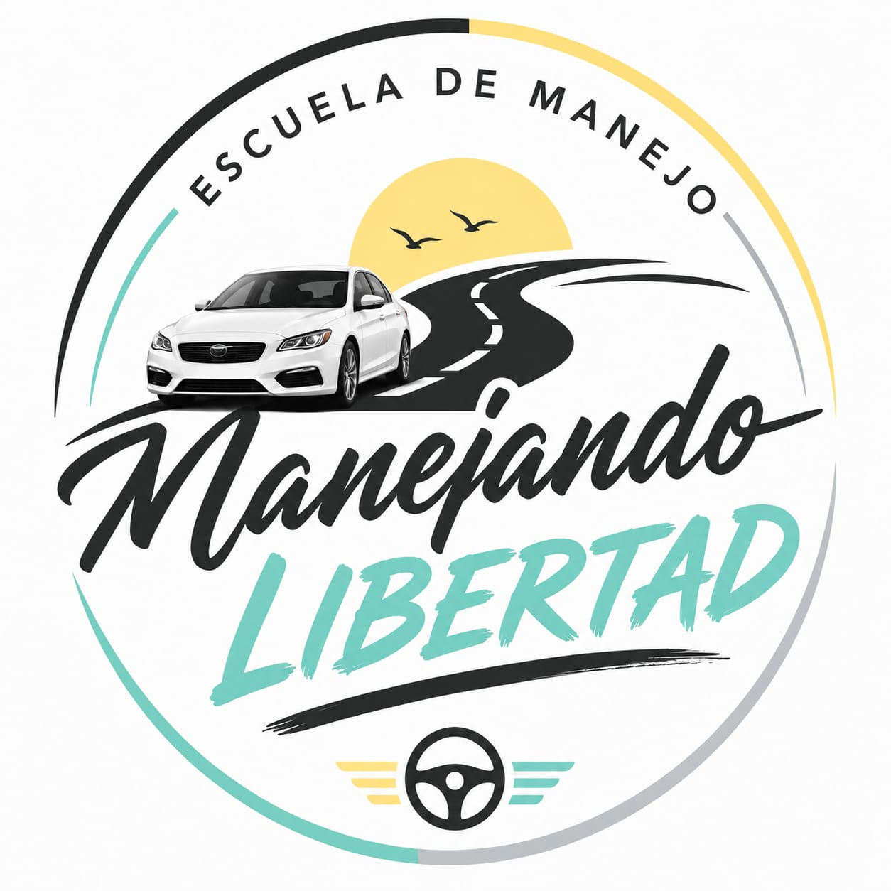 Manejando Libertad
